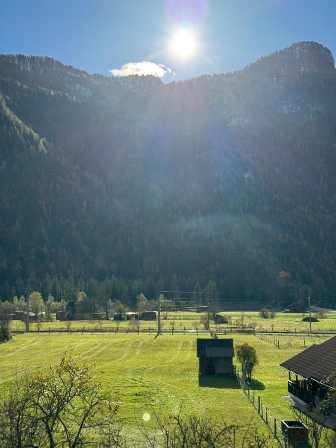 Haus Edelweiss Hotel Obertraun Bagian luar foto